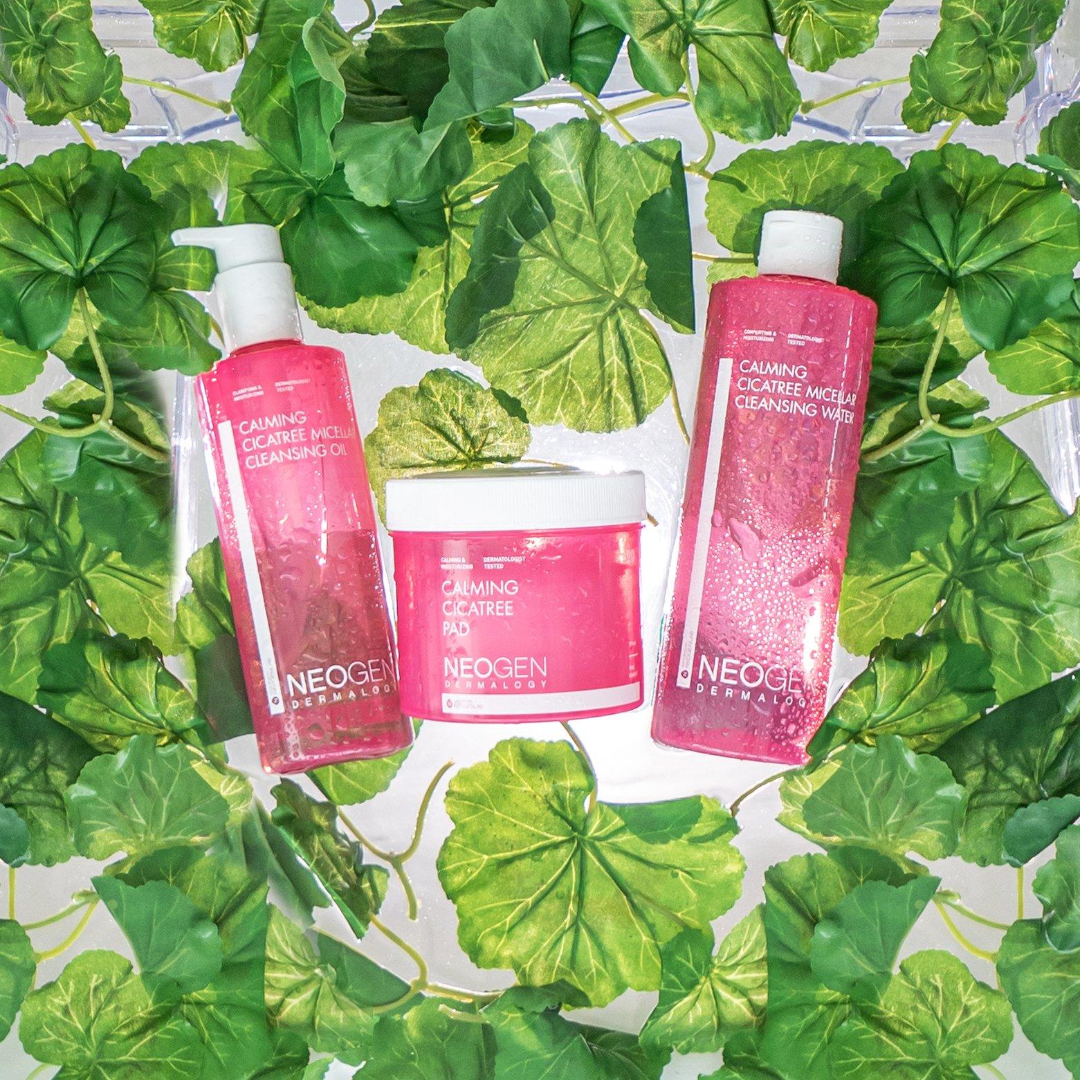 Centella Asiatica - a.k.a. CICA: The soothing ingredient your skin has been waiting for - NEOGEN GLOBAL