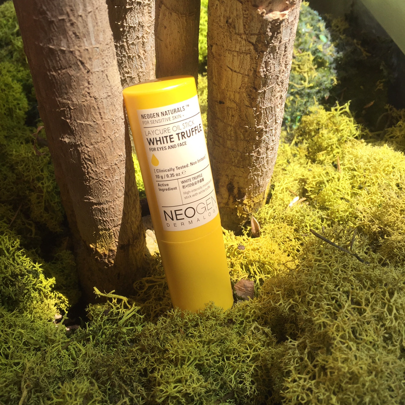 NEO | TRENDING<br> Neogen White Truffle Laycure Oil Stick & Balm Pact Review by Sarah Oh - NEOGEN GLOBAL