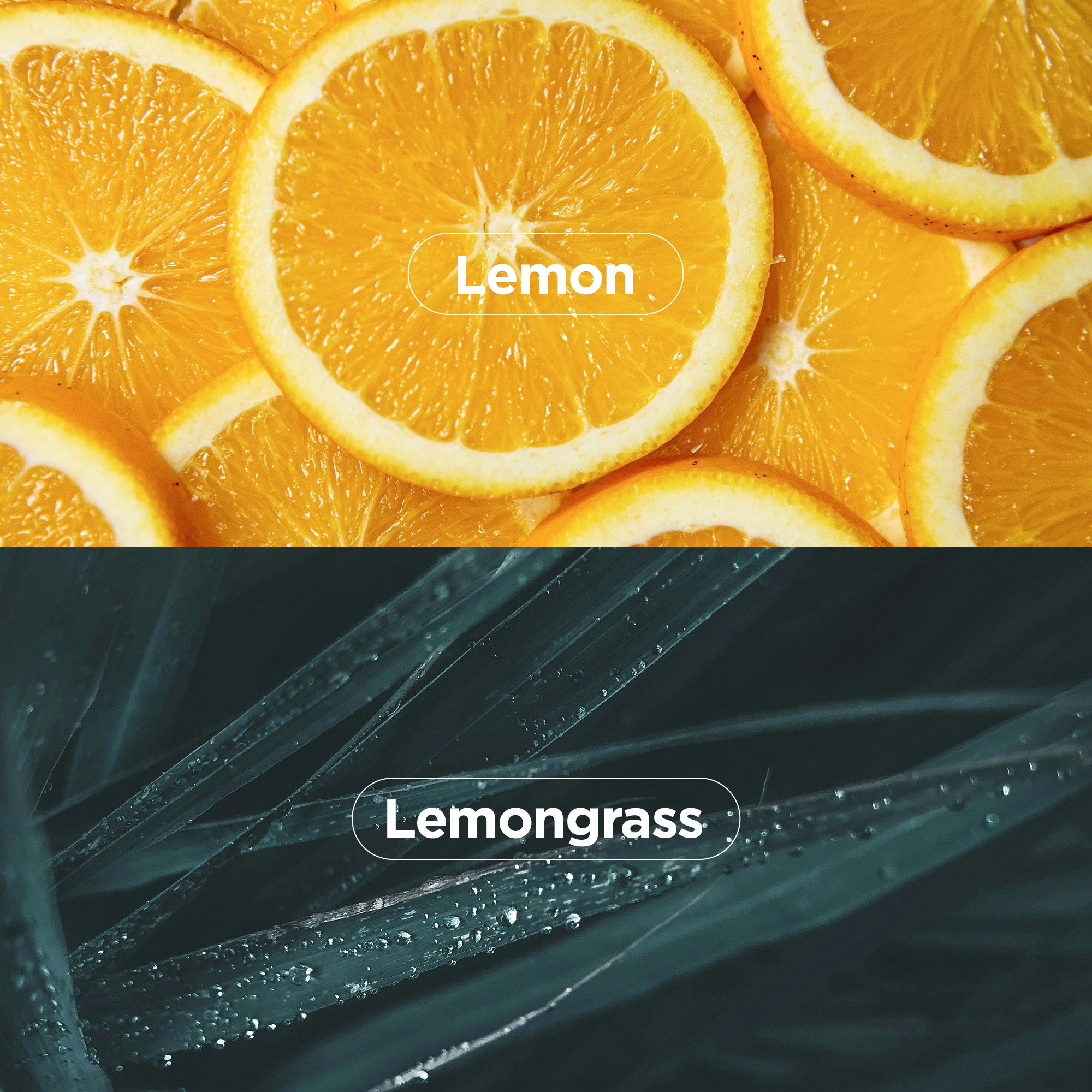 Bio-Peel Gauze Peeling Lemon (30 Pads)