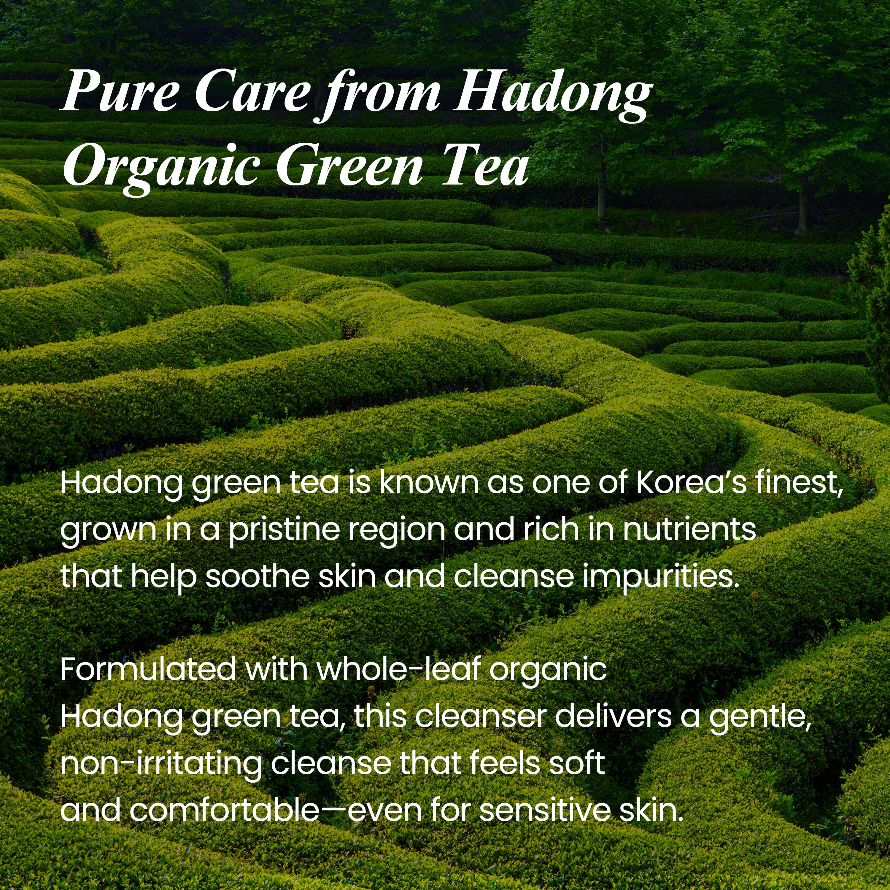 REAL FRESH CLEANSING OIL GREEN TEA