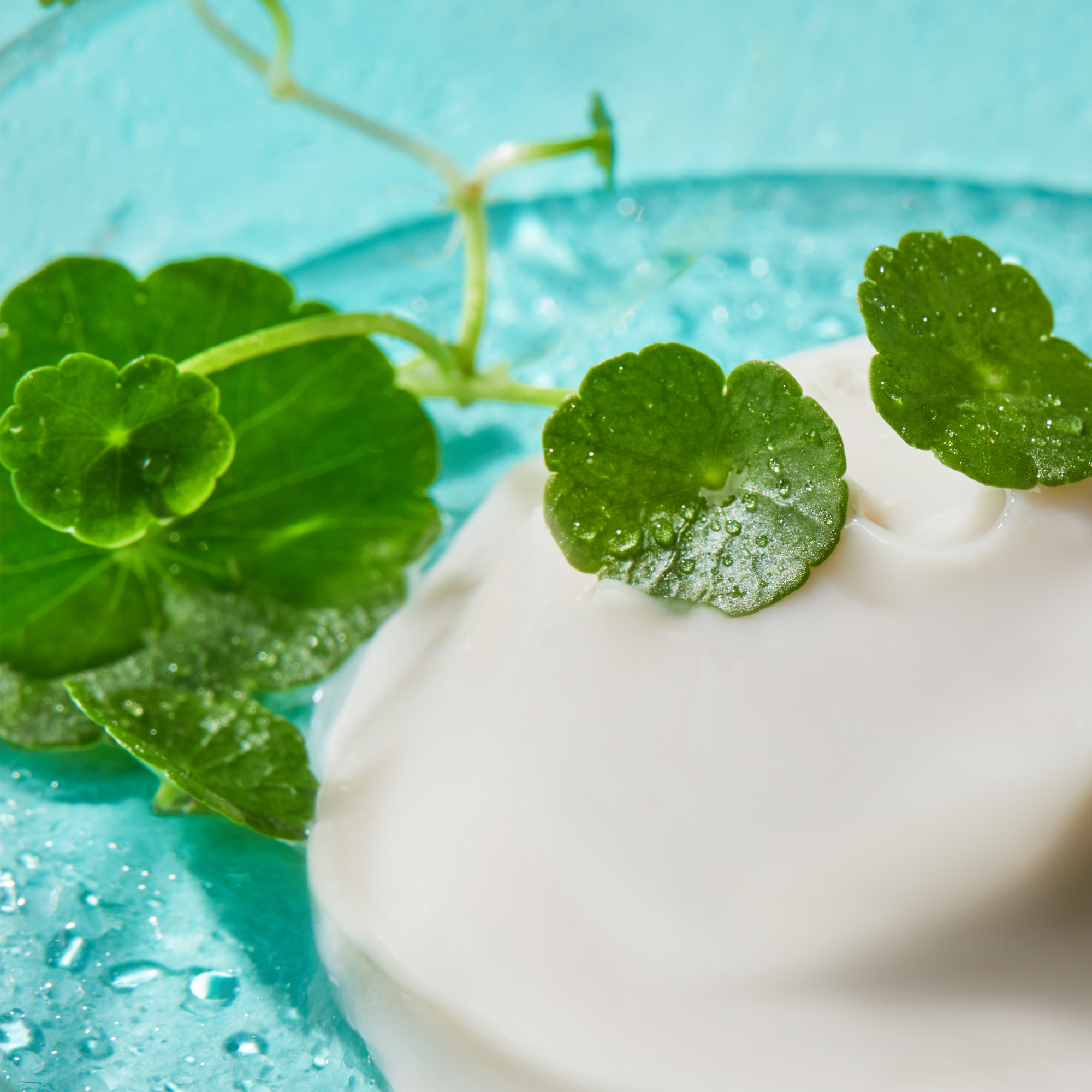 HIGH R EXOSOME CREAM