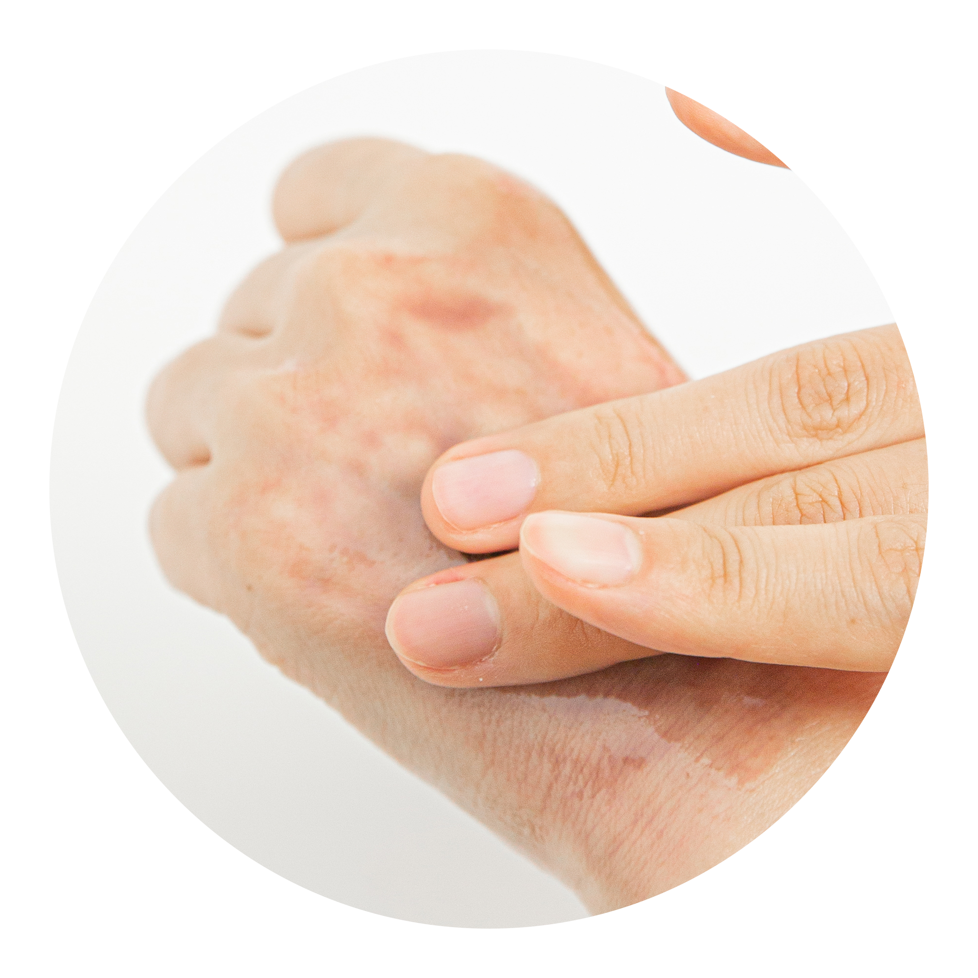 NEOGEN DERMALOGY Real Fresh Cleansing Oil Green Tea 285ml - NEOGEN GLOBAL