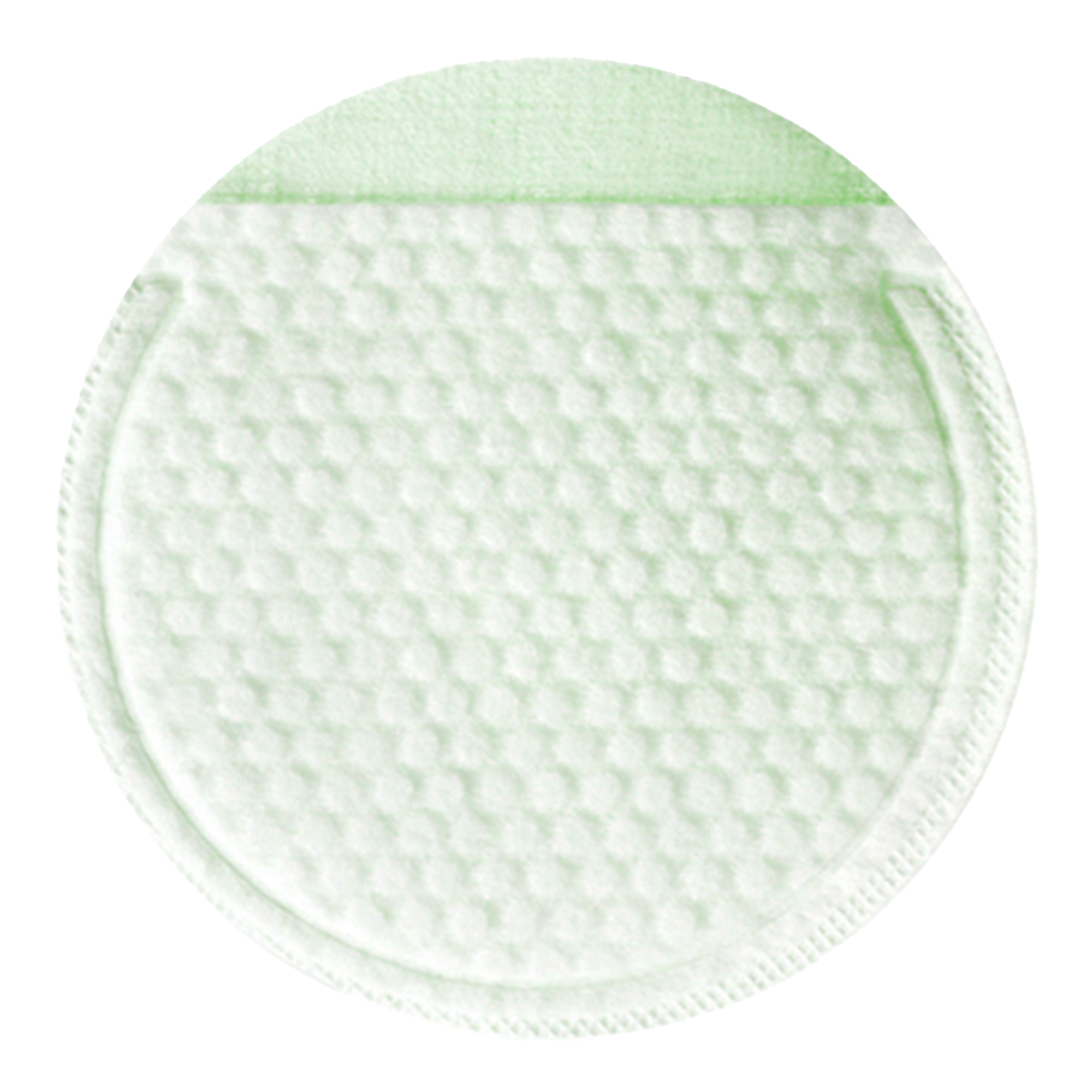 NEOGEN DERMALOGY Bio-Peel Gauze Peeling Green Tea 2.48 oz / 76ml (8 Pads)