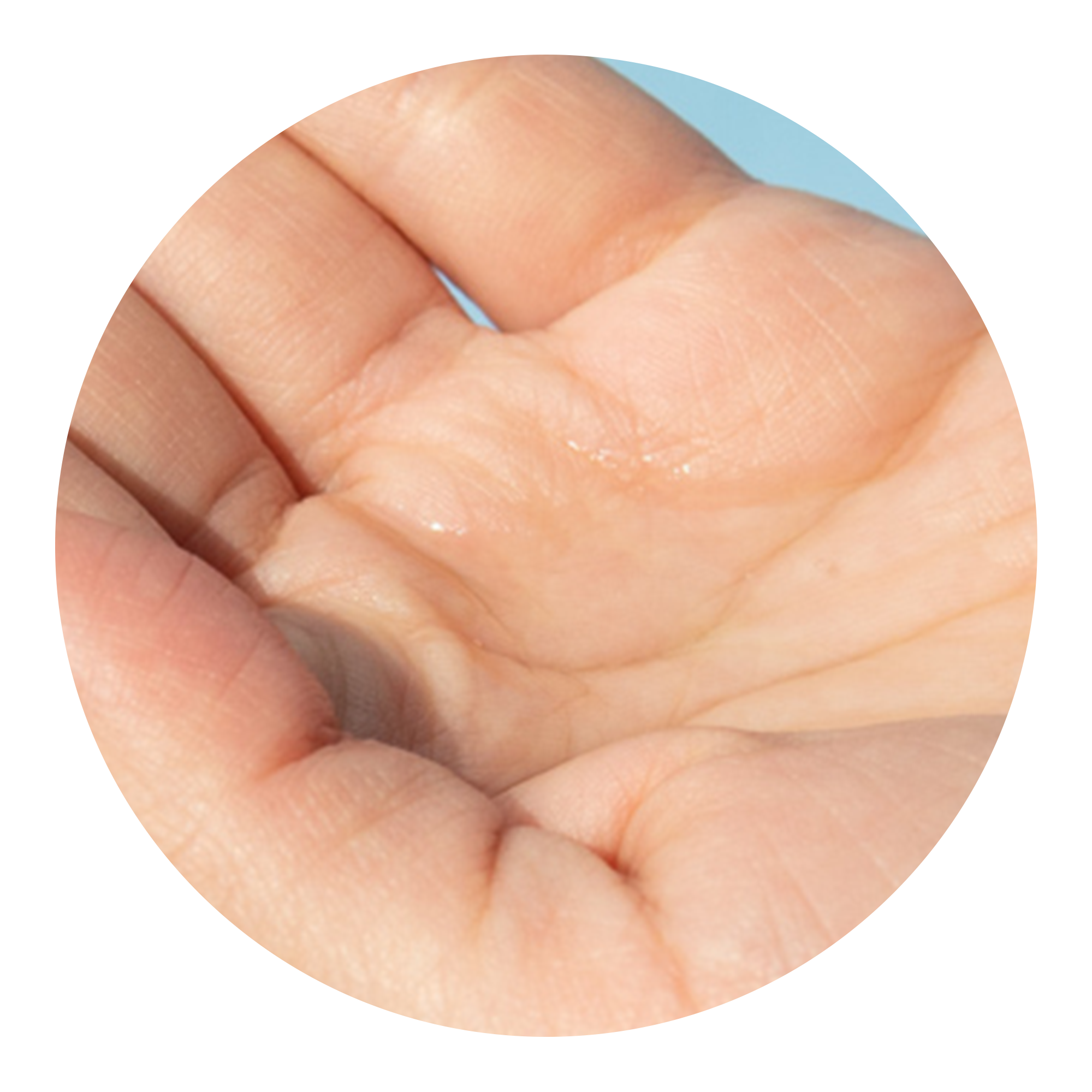 NEOGEN DERMALOGY Calming Cica Tree Micellar Cleansing Oil 300ml - NEOGEN GLOBAL