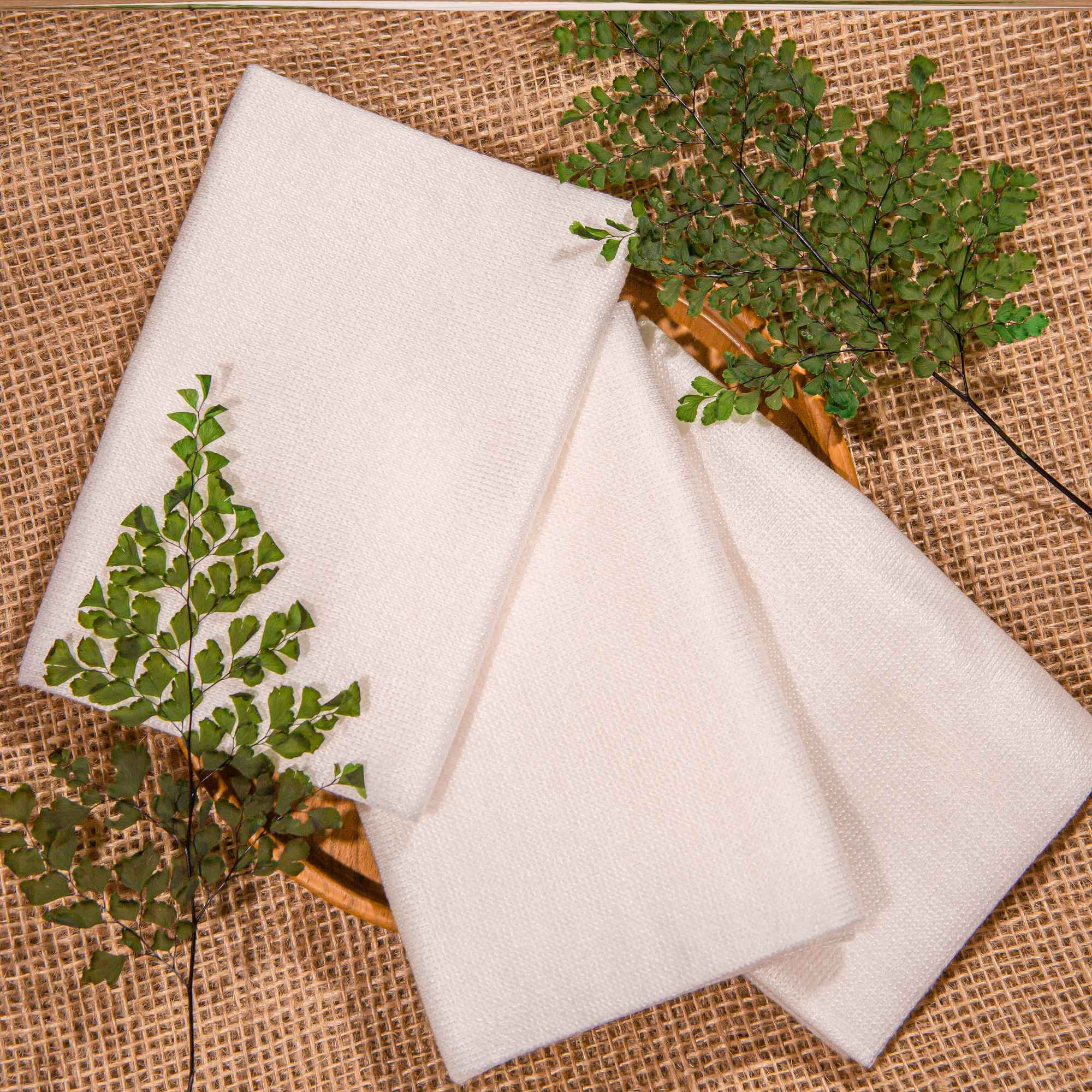 NEOGEN DERMALOGY Soft Touch Cotton Towel (1ea/5ea/10ea/20ea)