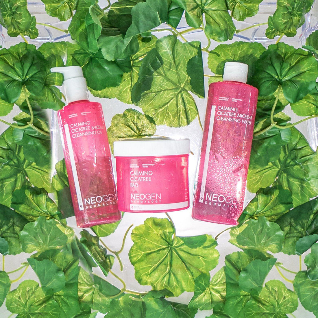 Centella Asiatica - a.k.a. CICA: The soothing ingredient your skin has been waiting for - NEOGEN GLOBAL