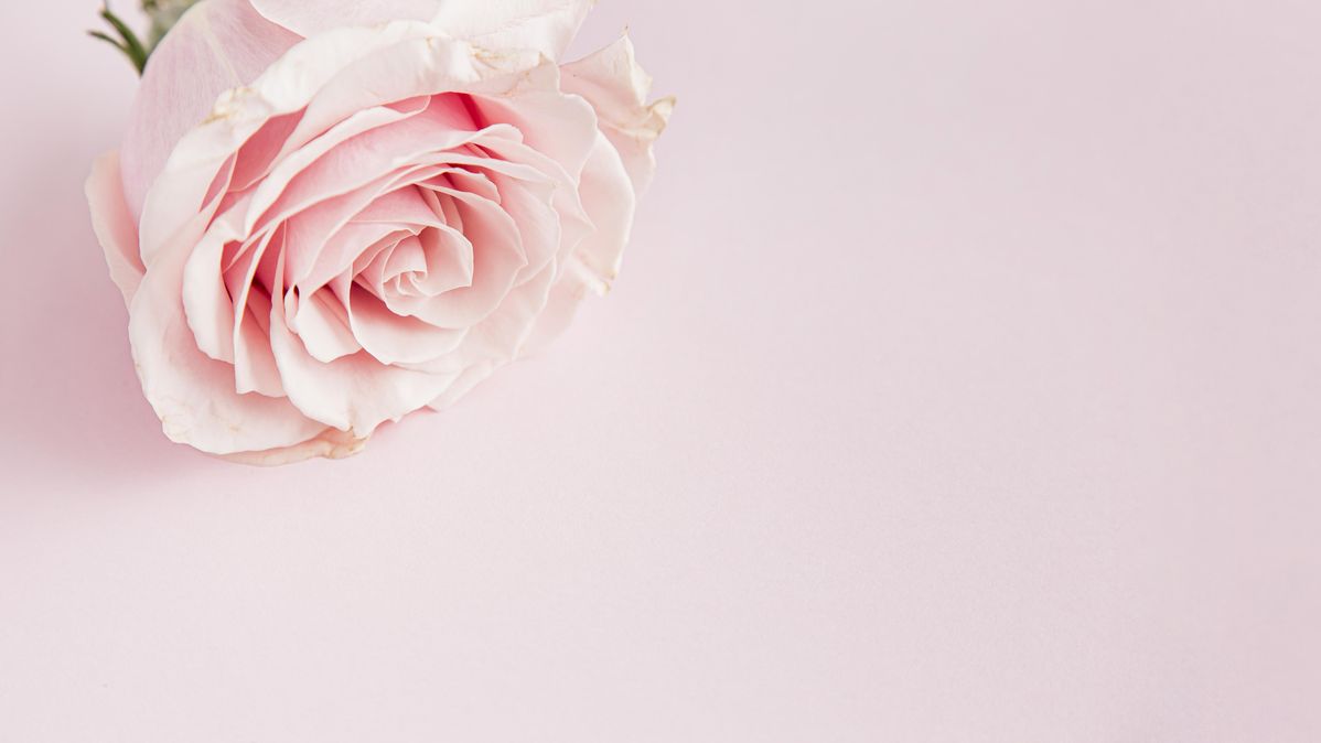 ROSE LINE