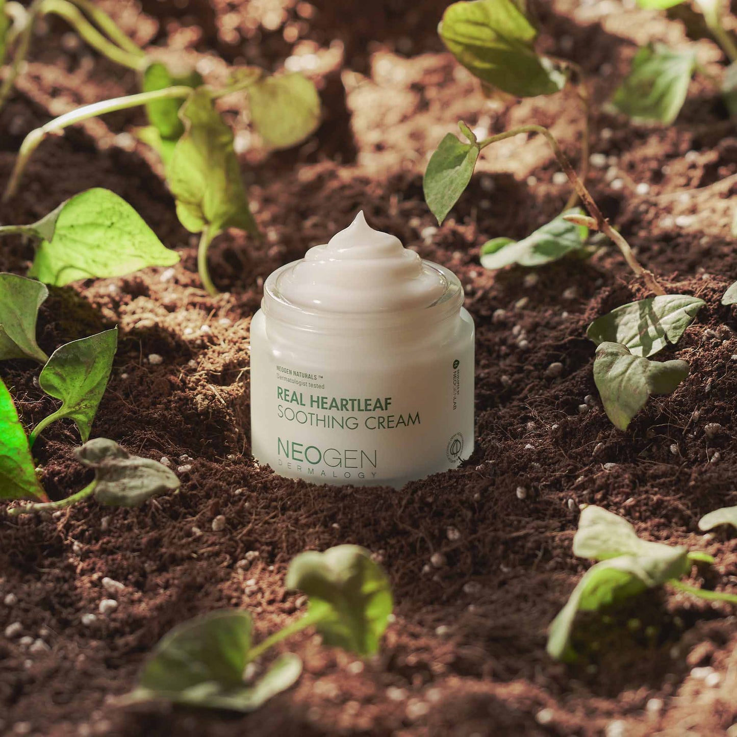 Real Heartleaf Soothing Cream (80g)