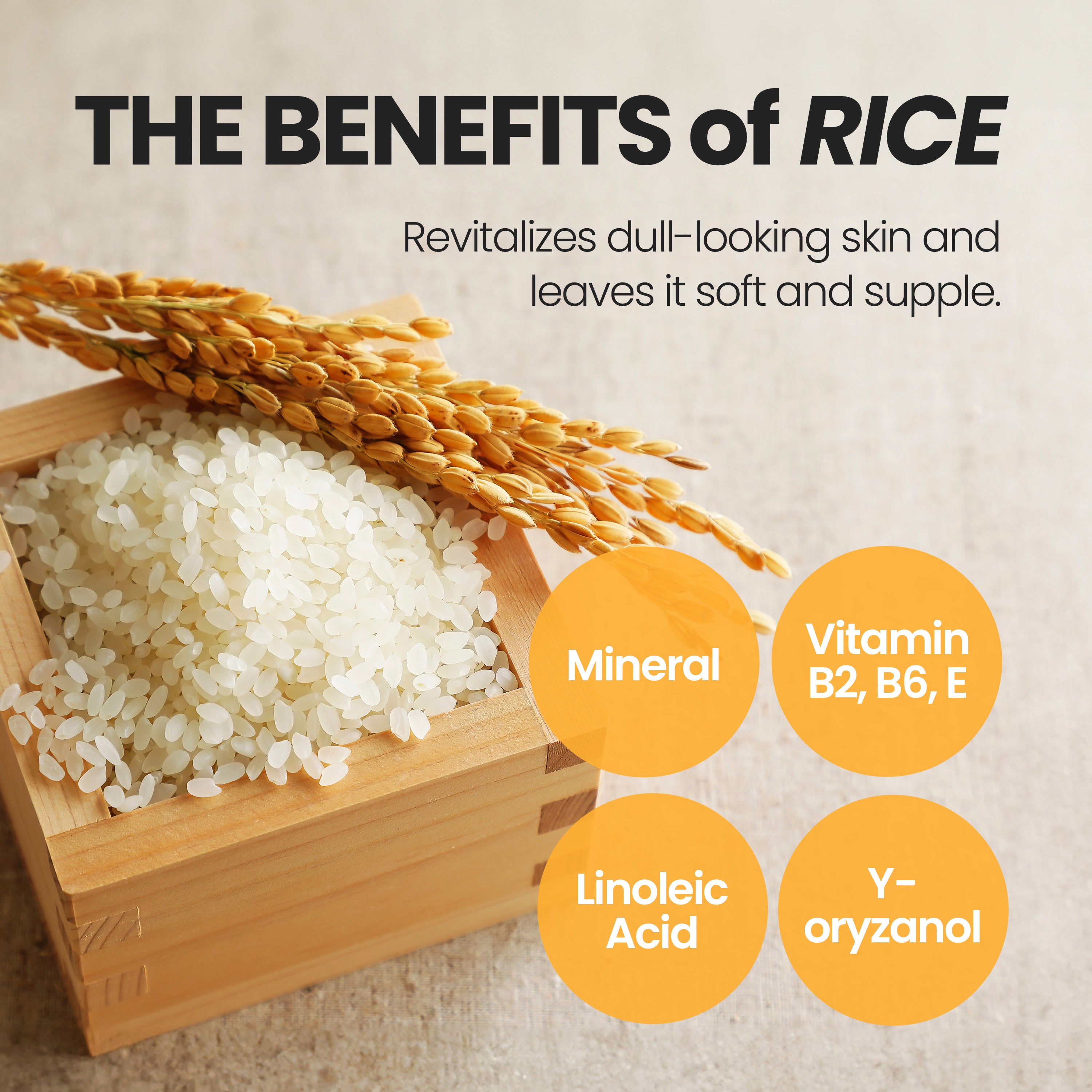 [Value Set] Real Ferment Micro Toner, Real Ferment Micro Essence, Real Ferment Micro Serum