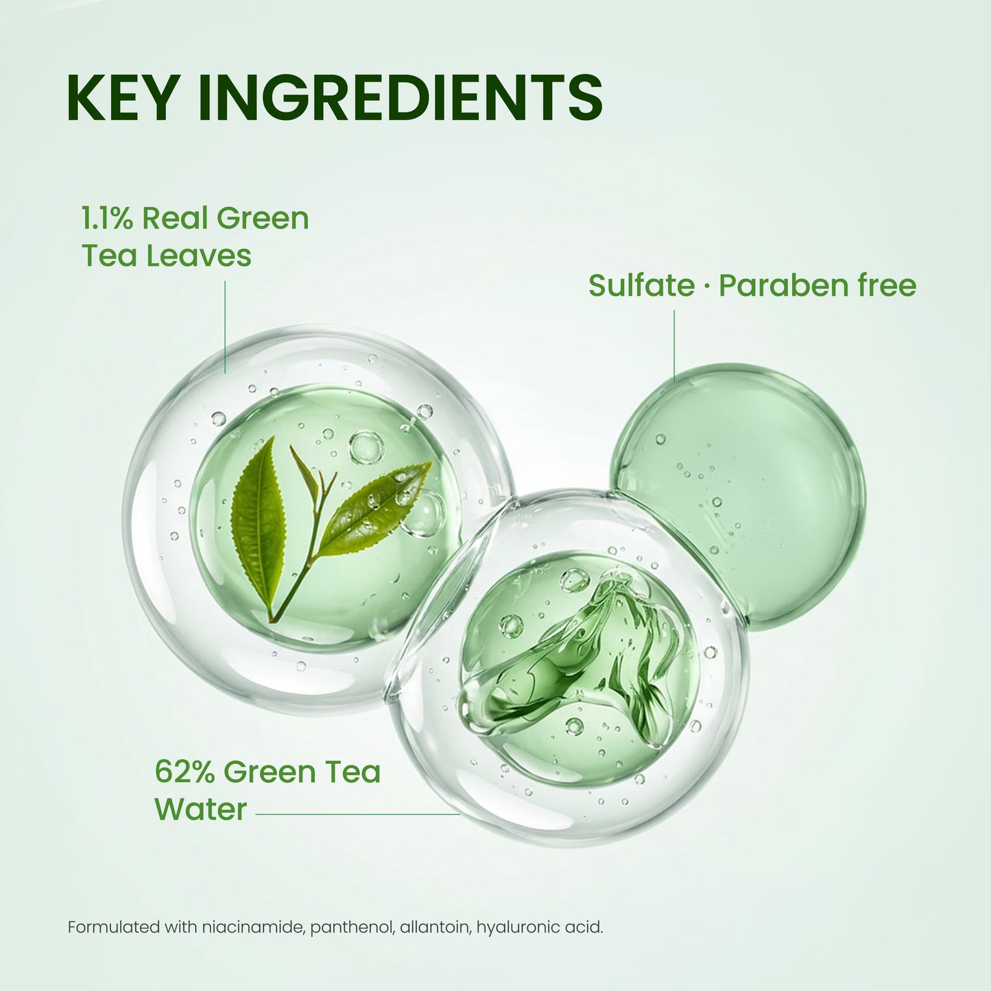 Real Fresh Foam Cleanser Green Tea