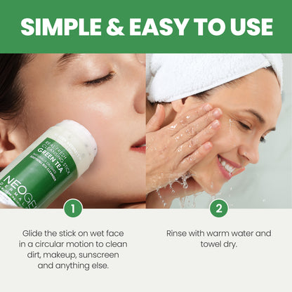 REAL FRESH CLEANSING STICK GREEN TEA