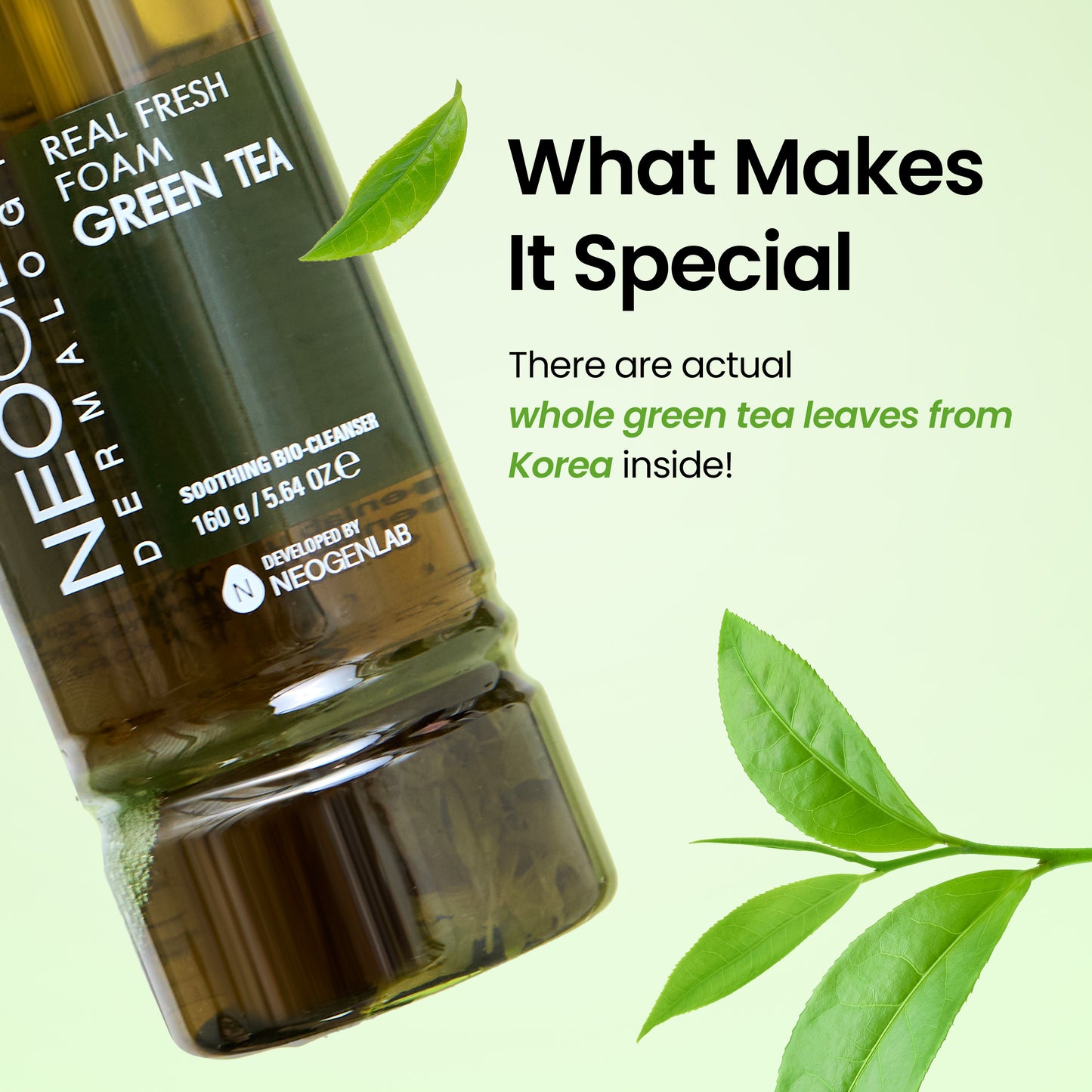 Real Fresh Foam Cleanser Green Tea