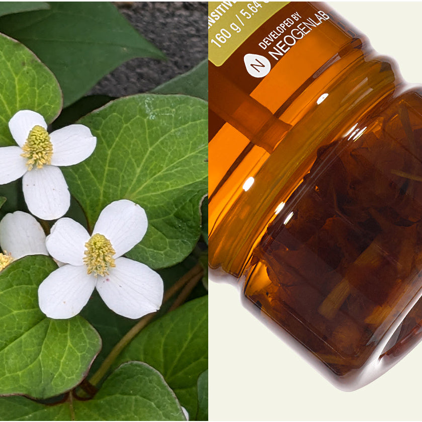[Value Set] Sur.medic Azulene Soothing Peptide Ampoule + Neogen Dermalogy Real Fresh Foam Heartleaf