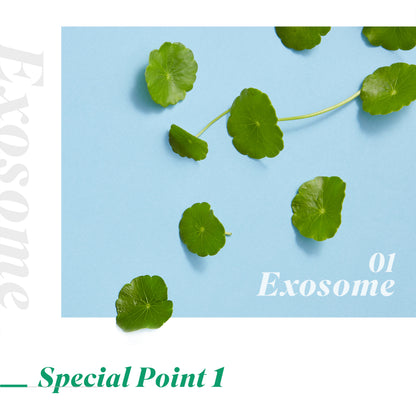 High G EXOSOME Mask (39g) 5 sheets
