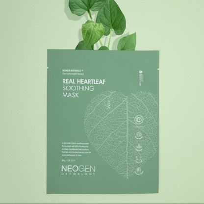 Real Heartleaf Soothing Mask (5 sheets)