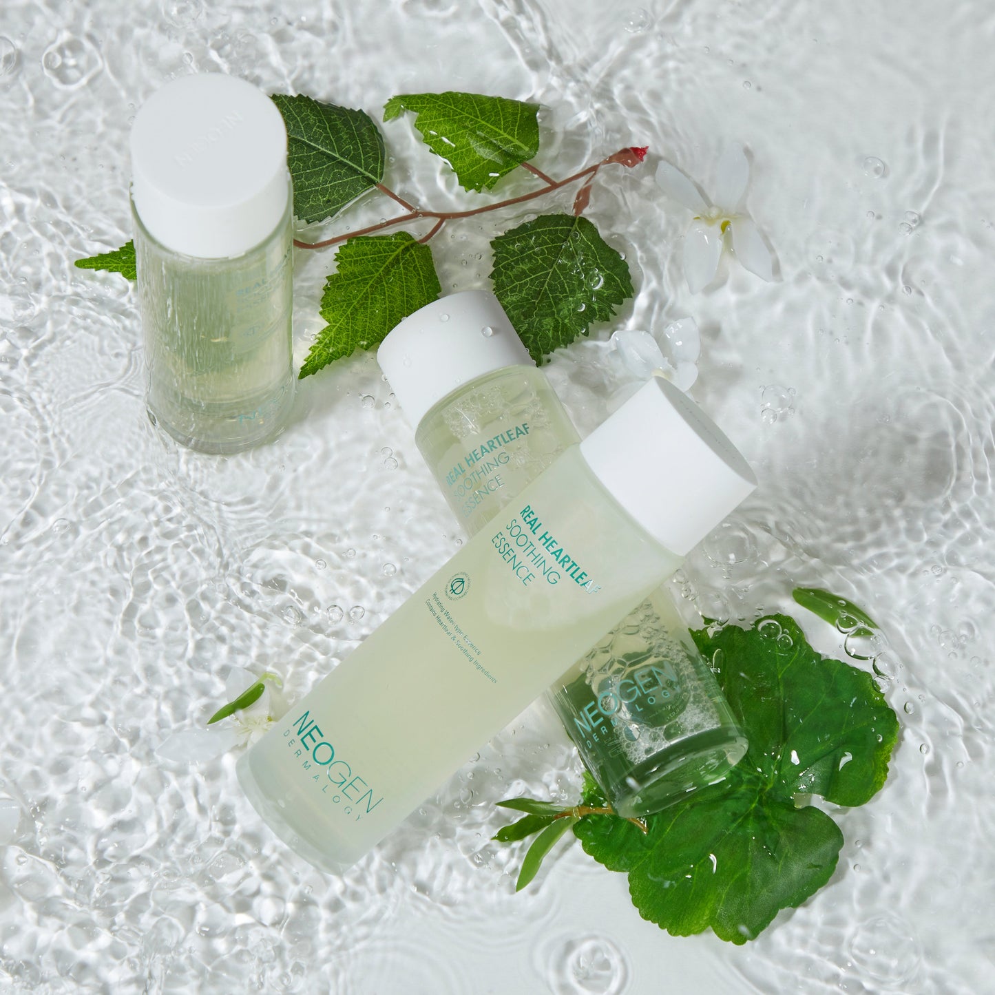 Real Heartleaf Soothing Essence