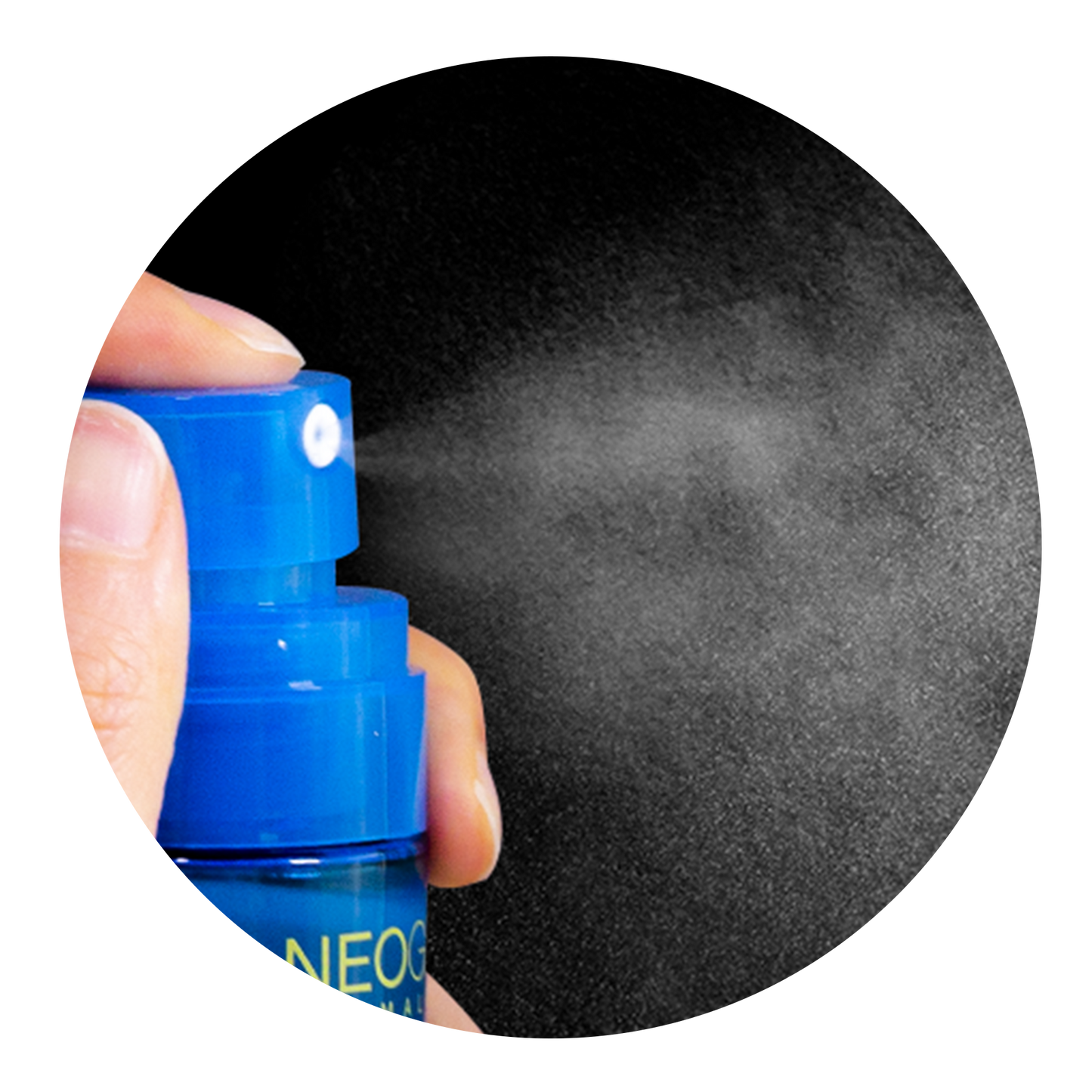 NEOGEN DERMALOGY All Day Locking Fixer 80ml / 2.7 oz - NEOGEN GLOBAL