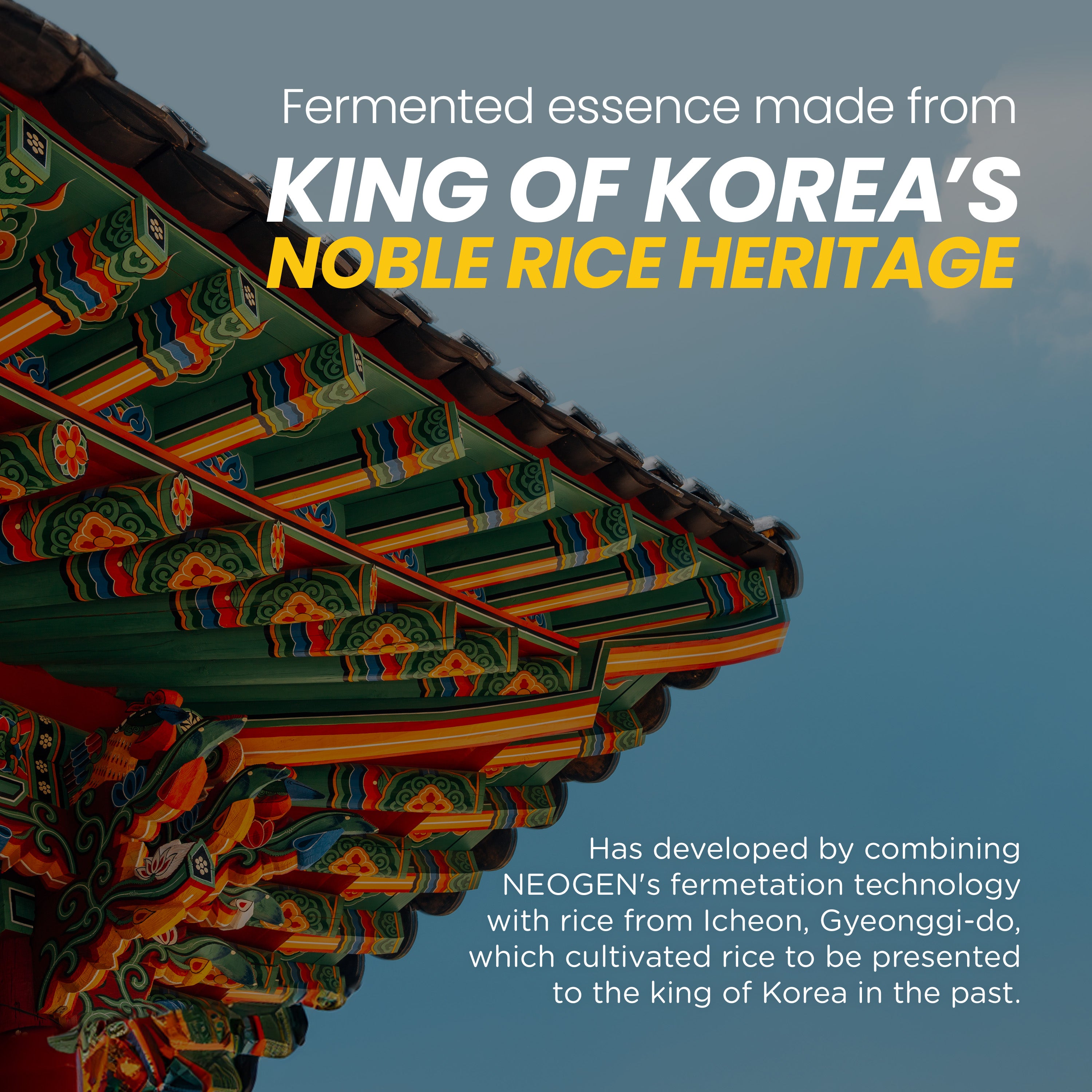 [Value Set] Real Ferment Micro Toner, Real Ferment Micro Essence, Real Ferment Micro Serum