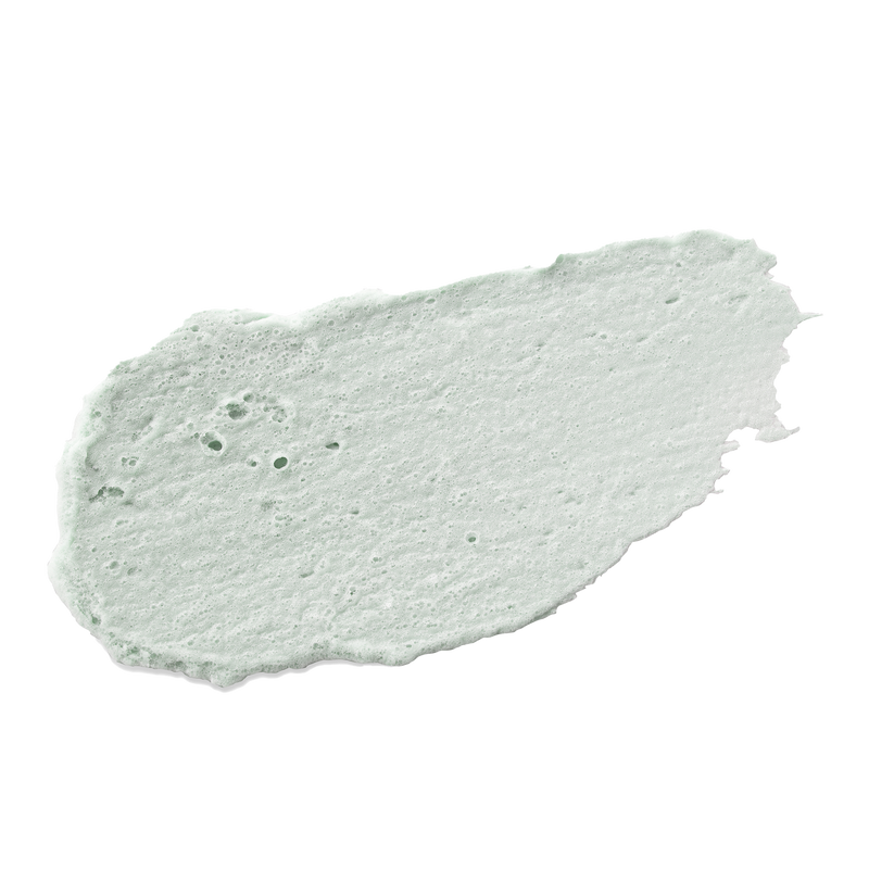 NEOGEN DERMALOGY Canadian Clay Pore Cleanser 4.2 oz / 120g