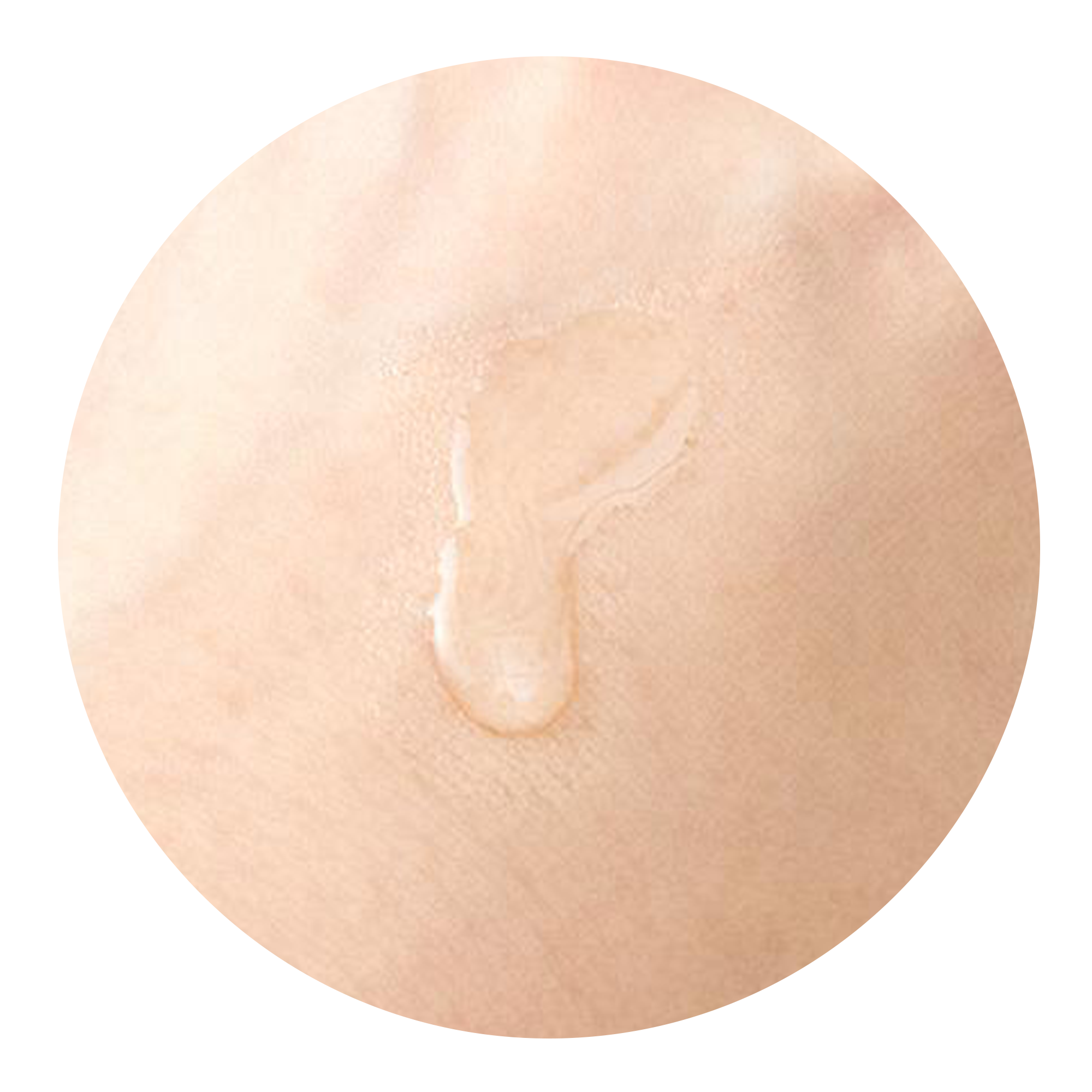 [1+1] Real Ferment Micro Essence 5.07 oz / 150ml + FREE GIFT Bakuchiol Serum