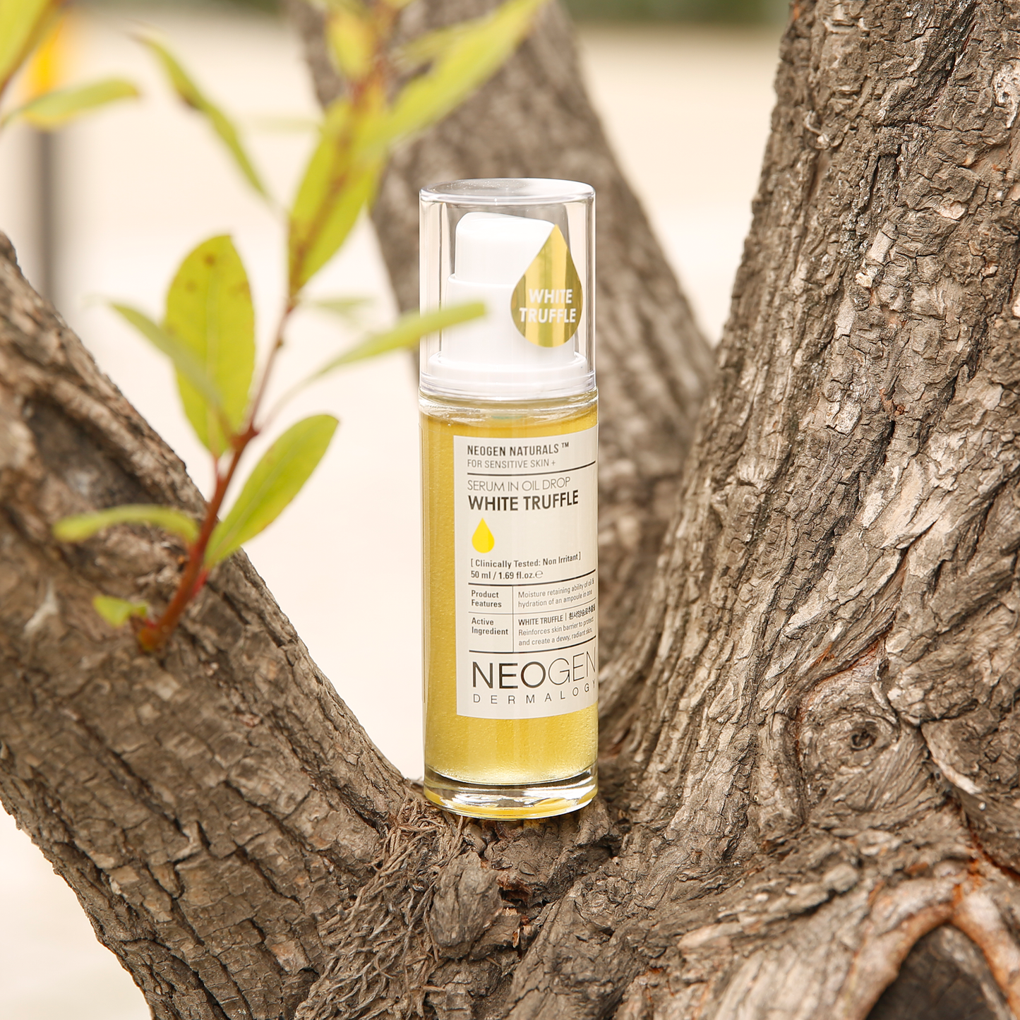 NEOGEN DERMALOGY White Truffle Serum in Oil Drop 1.69 oz / 50ml - NEOGEN GLOBAL